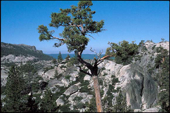 Lake Margaret in the Sierra Nevada's Mokelumne Wilderness.
