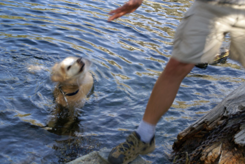 Molly at Cliff Lake.