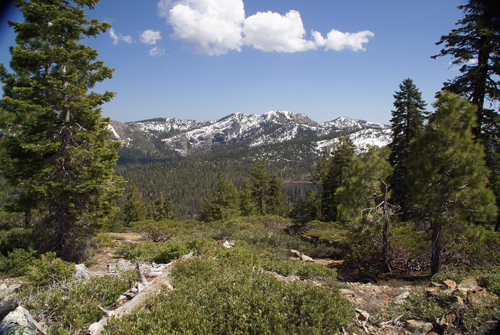 Gumboot Lake drainage from the Pacific Crest Trail west of Mount Shasta. (Photo by John Soares)